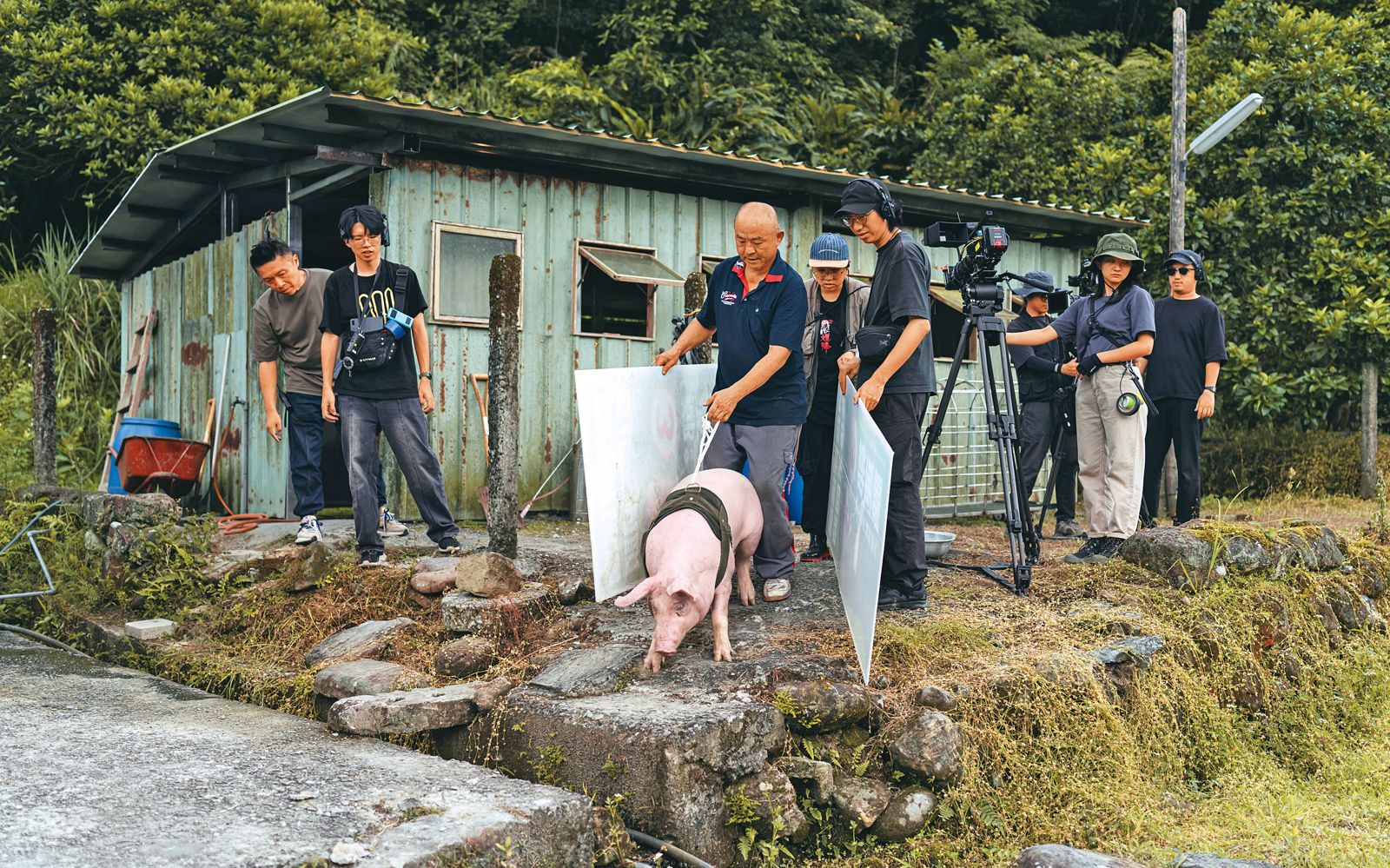 漫改劇黑盒子解密3／「肉豬沒有辦法被訓練」　他曝〈豬人〉最難拍的一場戲